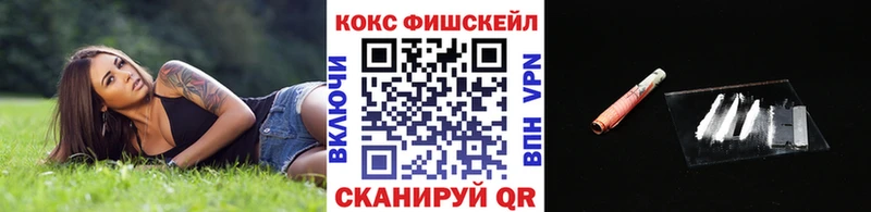 COCAIN FishScale  купить наркотик  Заполярный 