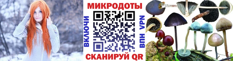 blacksprut зеркало  наркотики  Заполярный  Галлюциногенные грибы GOLDEN TEACHER 